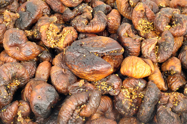 Similar image 1624852