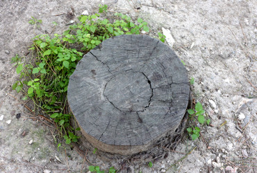 Similar image 1624858