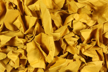 Similar image 1624874