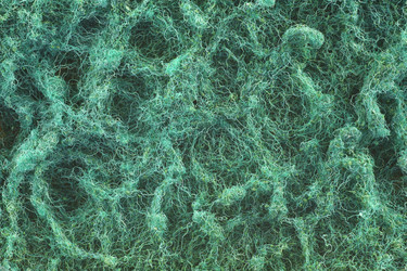 Similar image 1624880