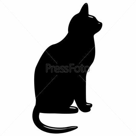 Фотография на тему Черная кошка на белом фоне | PressFoto