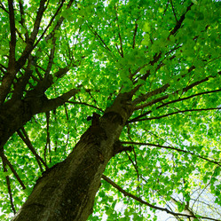 Similar image 1626143