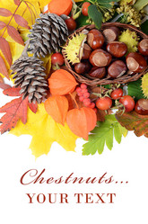 Similar image 1626212