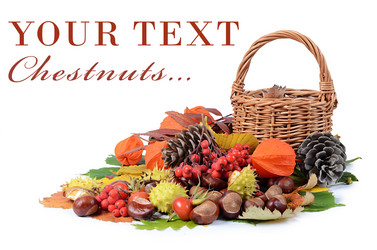 Similar image 1626216