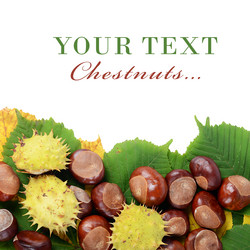 Similar image 1626219