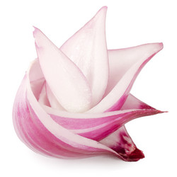 Similar image 1626408