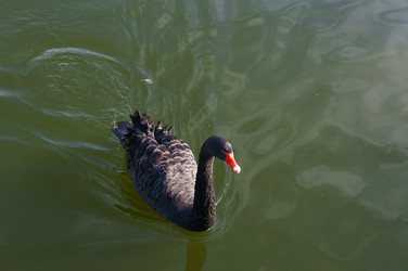 Similar image 1626764