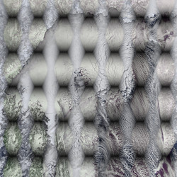 Similar image 1627129