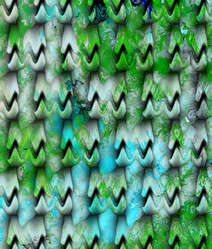 Similar image 1627174