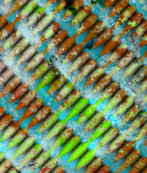 Similar image 1627179