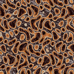 Similar image 1627242