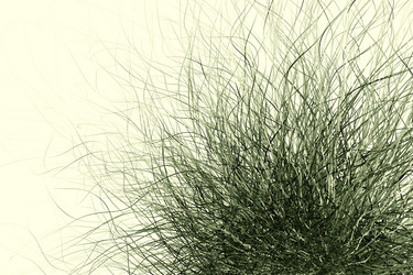 Similar image 1629175