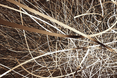 Similar image 1629176