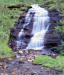 Similar image 1629250