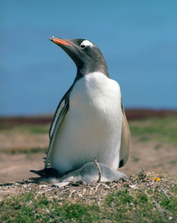 Similar image 1629254