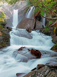 Similar image 1629259