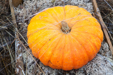 Similar image 1629353