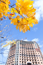 Similar image 1629361