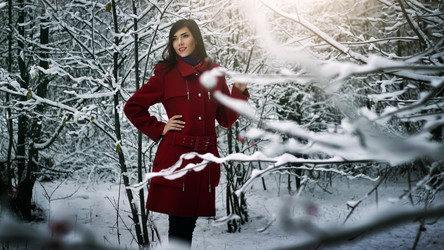 Similar image 1629558