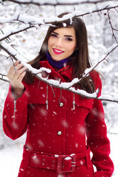 Similar image 1629563