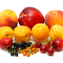 Similar image 1629630