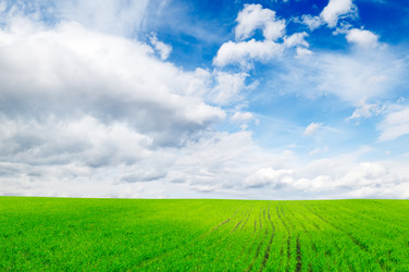 Similar image 1629632