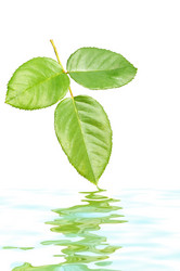 Similar image 1629636