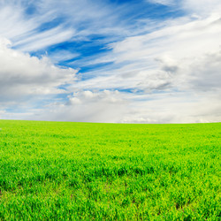 Similar image 1629645