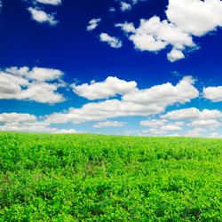 Similar image 1629647