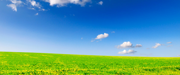 Similar image 1629649