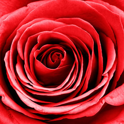 Similar image 1629666