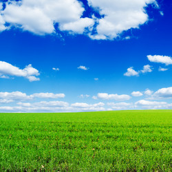 Similar image 1629667