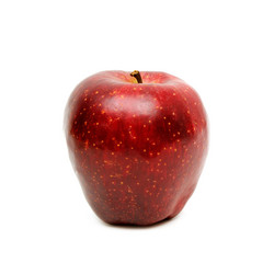 Similar image 1629670