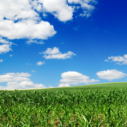 Similar image 1629676