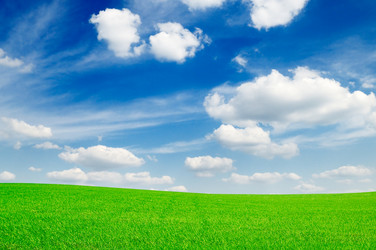 Similar image 1629679