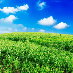 Similar image 1629686