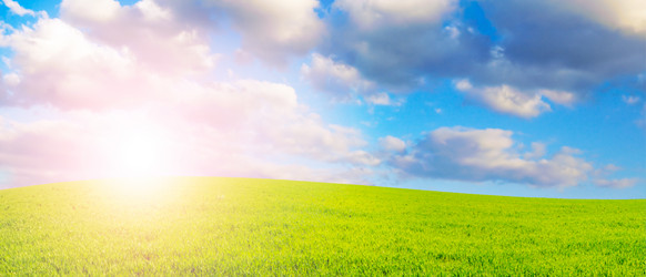 Similar image 1629690