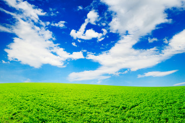 Similar image 1629698