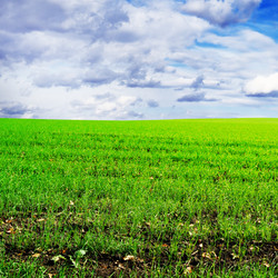 Similar image 1629711