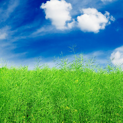 Similar image 1629715