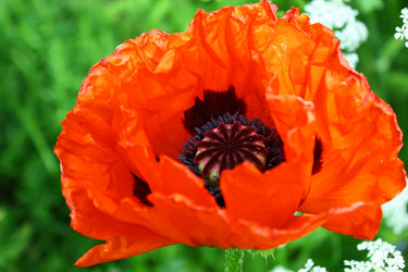 Similar image 1629801