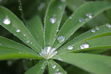 Similar image 1629802