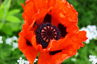 Similar image 1629803