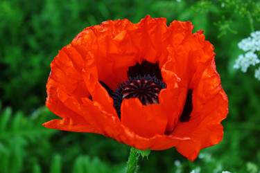 Similar image 1629883