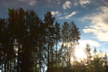 Similar image 1629983