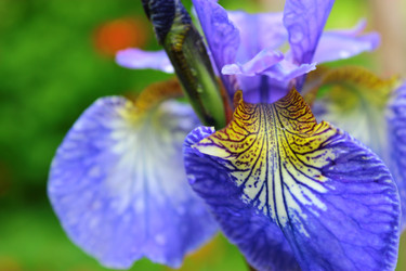 Similar image 1630023