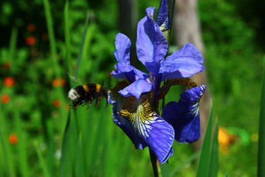 Similar image 1630042