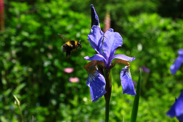 Similar image 1630043