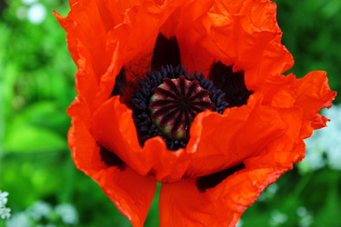 Similar image 1630062