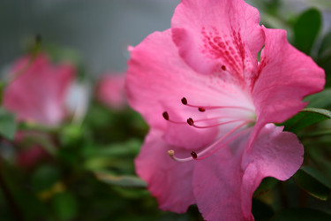 Similar image 1630063